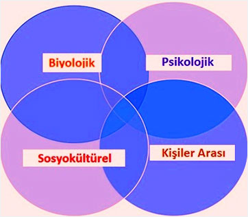 cinsel isteksizlik nedenleri