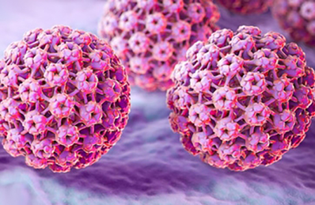 HPV Nedir? HPV Enfeksiyonları, Nasıl Bulaşır?